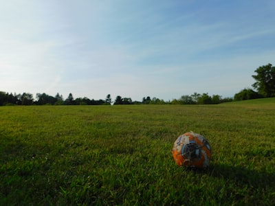 من أخذ دوري أبطال أوروبا من 2000 إلى 2024؟